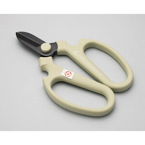 Ԃ͂ nhNG[V F170 AgXO[ Ep n tbfR[eBO { | K[fjO ƒ؉