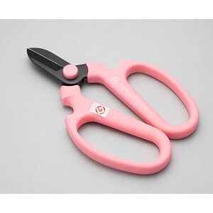 Ԃ͂ nhNG[V F170 sN Ep n tbfR[eBO { | K[fjO ƒ؉ ⌹