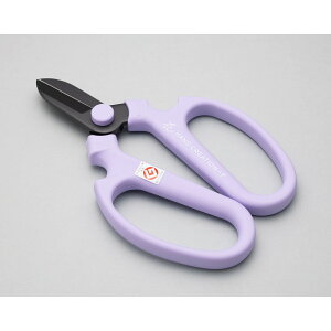 Ԃ͂ nhNG[V F170 x_[ Ep n tbfR[eBO { | K[fjO ƒ؉ ⌹