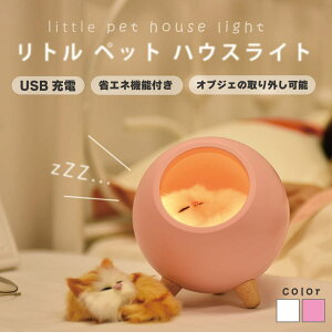 Mustard gybgnEXCg PK CeA Ɩ fXNCg ˂ L