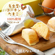 名古屋コーチン 卵 の レモン ケーキ ギフト 6個入 名古屋銘菓 名古屋 お土産 美味しい レモンお菓子 レ…