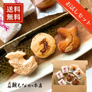 yVZbg ͎O Zbg É nƖ40N V V`zR Œ L É   XC[c  Ԃ m  aXC[c  َq Mtg 