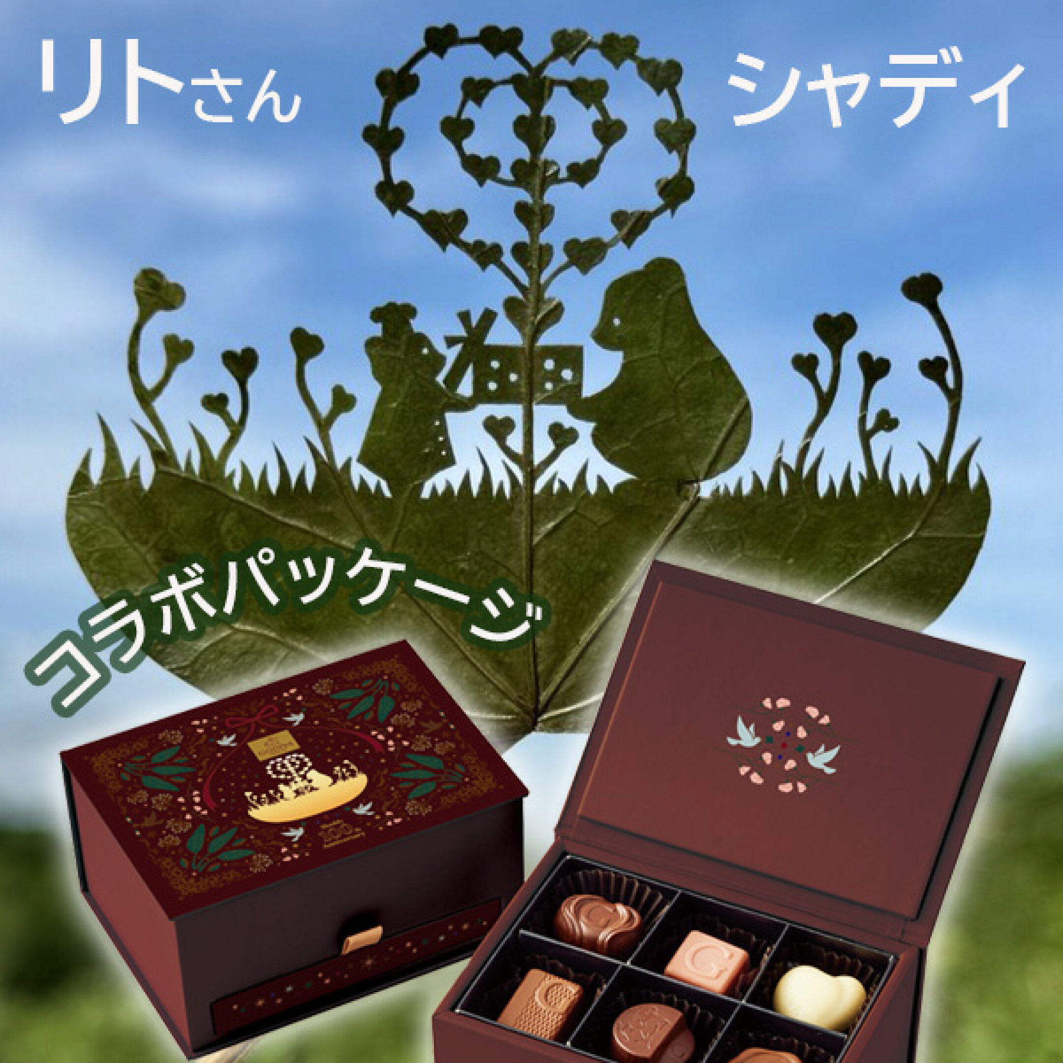 ゴディバ グランプラス 12粒 