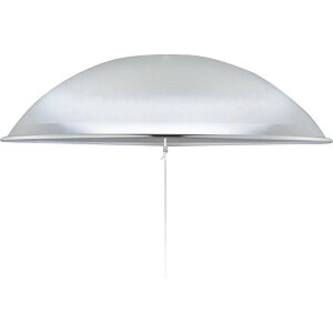 RCY~ LEDy_g BP181204P