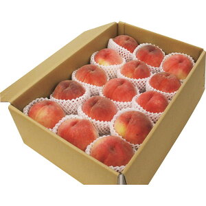 �R�����Y��(4.8kg)