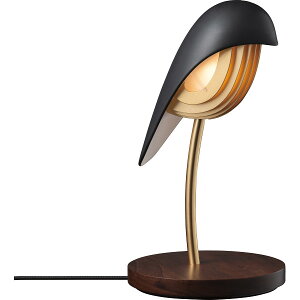 LEDfXNCg o[h IjLX BR01-OB