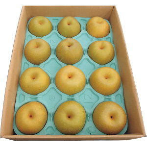 G߂̗(5kg)