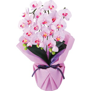 �A�[�e�B�t�B�V�����t�����[ 3�{�����~�j�Ӓ��� ���x���_�[ ncr-minipo-lv �o�Y�j�� ���j�� ���Ԃ� �L�O�i �a���� �ސE�j�� �Z�b�g �h�V�̓� �H�M�t�g
