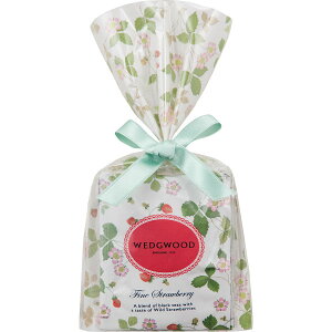 g EFbWEbh Ch Xgx[ A\[geB[obO WSN-TB5P WEDGWOOD  lߍ킹 Zbg FB  j Ԃ  yY 킢  v`Mtg v[g 