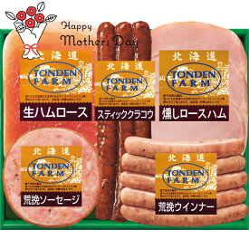 母の日 グルメ 北海道トンデンファームギフト TF-3C MF 送料無料 グルメ 惣菜 おつまみ 肉 詰め合わせ セット 簡単調理 便利 ギフト プレゼント メッセージカード 24CP お母さん 義母 奥さん 40代 50代 60代 70代 80代