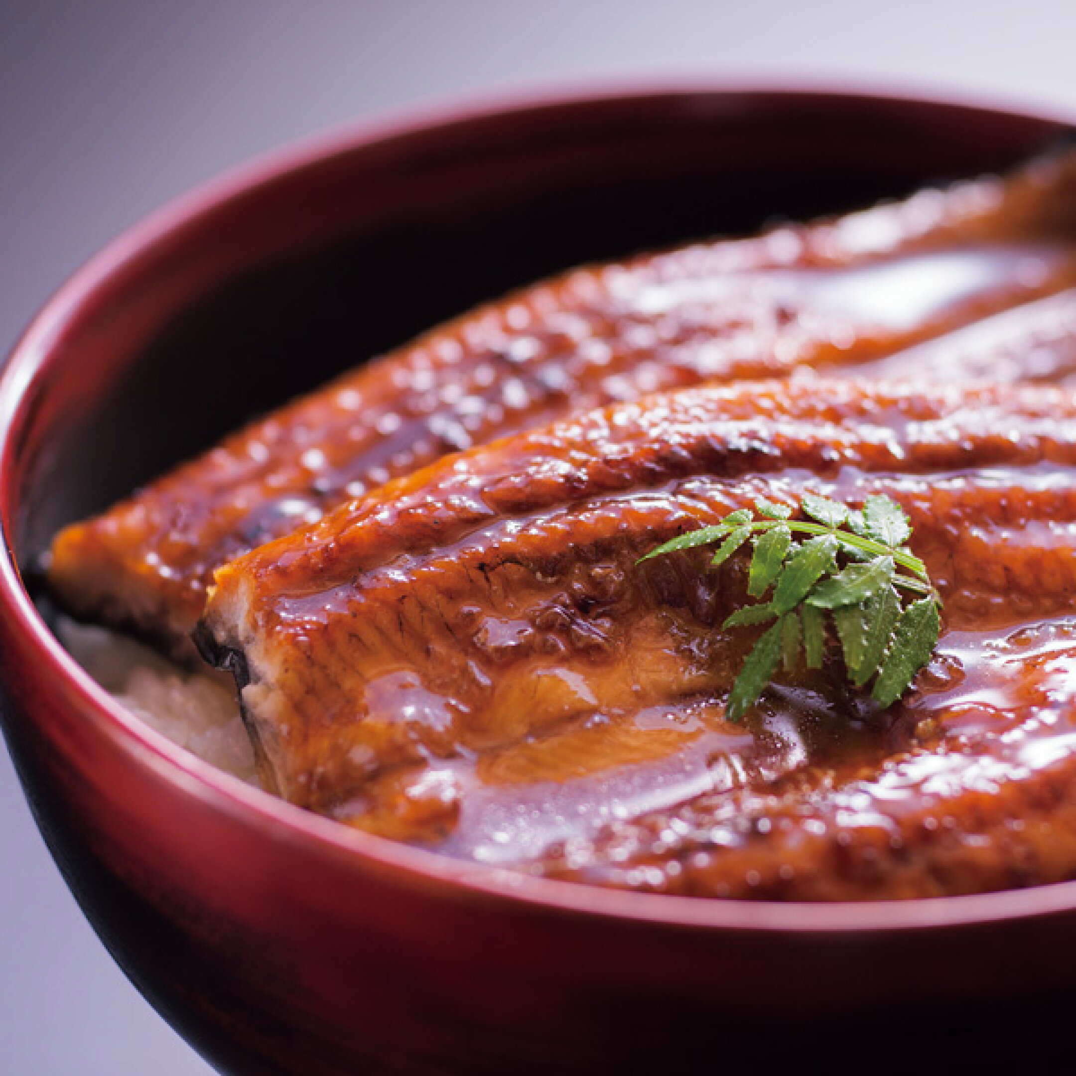 大森淡水 九州産うなぎ蒲焼切身 10枚【10,260円】