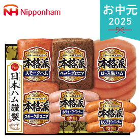 お中元 2025 日本ハム 本格派ギフト NH-401 精肉 肉加工品 加工品 セット 詰め合わせ 夏 夏ギフト 中元 ギフト 贈り物 暑中見舞い