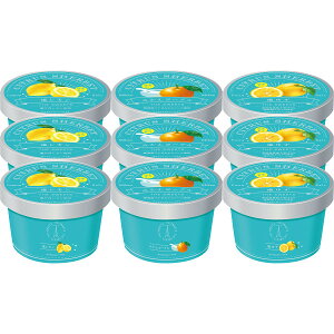 お歳暮 2025 ザ・スウィーツ 日本の柑橘シャーベット 9個 アイスクリーム シャーベット 各種アイスクリーム シャーベットセット 冬 冬ギフト 歳暮 ギフト 贈り物 寒中見舞い