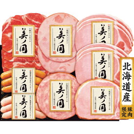 お歳暮 2025 日本ハム 北海道 プレミアム 美ノ国 UKH-48 精肉 肉加工品 加工品 セット 詰め合わせ 冬 冬ギフト 歳暮 ギフト 贈り物 寒中見舞い