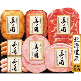 お歳暮 2025 日本ハム 北海道 プレミアム 美ノ国 UKH-53 精肉 肉加工品 加工品 セット 詰め合わせ 冬 冬ギフト 歳暮 ギフト 贈り物 寒中見舞い