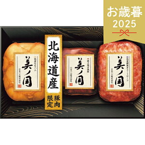 Ε 2025 {n kC v~A m UKH-49  Hi Hi Zbg lߍ킹 ~ ~Mtg Ε Mtg 蕨 