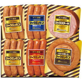 お歳暮 2025 日本ハム ギフト限定 シャウエッセン SEG-330 精肉 肉加工品 加工品 セット 詰め合わせ 冬 冬ギフト 歳暮 ギフト 贈り物 寒中見舞い