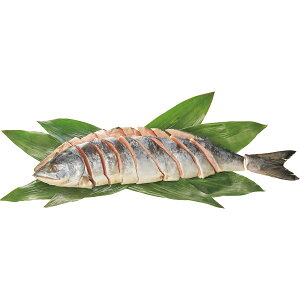 お歳暮 2025 北海道礼文島・利尻島沖産 熟成新巻鮭姿L 姿・1.5kg 魚介類 水産加工品 サケ 冬 冬ギフト 歳暮 ギフト 贈り物 寒中見舞い