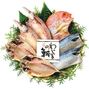 Ε 2025 킶܂̒Zbg 47  YHi Zbg lߍ킹 ~ ~Mtg Ε Mtg 蕨 