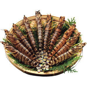 Ε 2025 ^ԊCV 230g  YHi Gr ~ ~Mtg Ε Mtg 蕨 