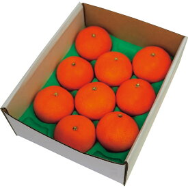 お歳暮 2025 愛媛県産 夢まどんな 2kg 愛媛果試28号 フルーツ 果物 みかん 冬 冬ギフト 歳暮 ギフト 贈り物 寒中見舞い 楽天 スーパーセール