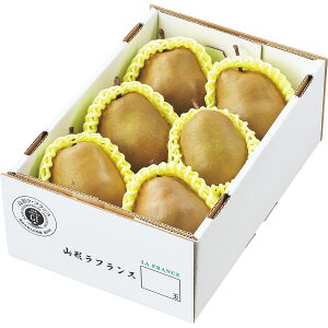 Ε 2025 X[p[EtX 1.5kg t[c ʕ m ~ ~Mtg Ε Mtg 蕨 