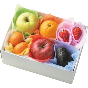 Ε 2025 ~̉ʕ6}Xl 12 t[c ʕ Zbg lߍ킹 ~ ~Mtg Ε Mtg 蕨 