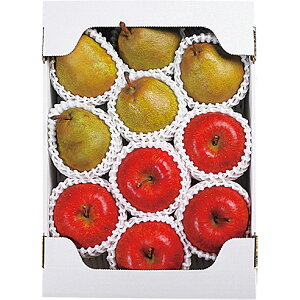 Ε 2025 ݉̂񂲁EEtXl t[c ʕ Zbg lߍ킹 ~ ~Mtg Ε Mtg 蕨 