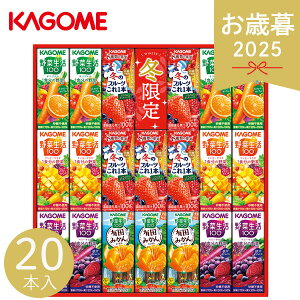 Ε 2025 JS EC^[oGeBMtg 20{ KYJ-30W ؃W[X ʕ t[cW[X ݂₷ x[T_ }S[T_ N hN ʏ`W[X ؐ100 ʕ