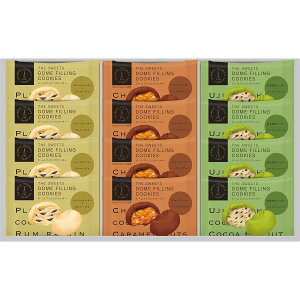 お歳暮 2025 ザ・スウィーツ ドームフィリングクッキー 12個 DF-2624 クッキー 焼き菓子 各種クッキー 焼き菓子セット 冬 冬ギフト 歳暮 ギフト 贈り物 寒中見舞い