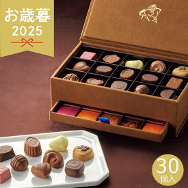 お歳暮 2025 ゴディバ グランプラス 30粒 205421 クッキー 焼き菓子 チョコレート チョコ 詰め合わせ 高級チョコレート おしゃれ GODIVA 各種クッキー 焼き菓子セット お取り寄せ ブランド 人気 冬 冬ギフト 歳暮 ギフト 贈り物 寒中見舞い