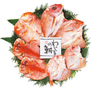 ���Ε� 2025 ��Â����Z�b�g ����� ���Y���H�i �^�C �~ �~�M�t�g �Ε� �M�t�g ���蕨 ���������� �y�V �V���f�B