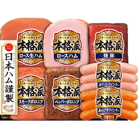 お歳暮 2025 日本ハム 本格派ギフト NH-51 精肉 肉加工品 加工品 セット 詰め合わせ 冬 冬ギフト 歳暮 ギフト 贈り物 寒中見舞い