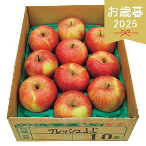 Ε 2025 XY tƂ炸Tӂ 2.8kg t[c ʕ  ~ ~Mtg Ε Mtg 蕨 