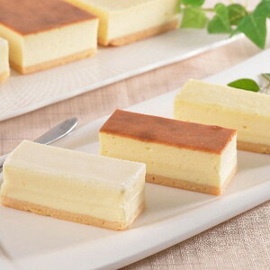 Ε 2025 kC \h`F 3̃`[YP[L 5000200  Hi Hi n [Xn ~ ~Mtg Ε Mtg 蕨 