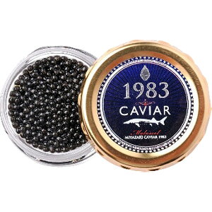 Ε 2025 {LrA1983v~A 20g 5360015  YHi  LrA ~ ~Mtg Ε Mtg 蕨 