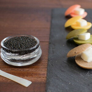 Ε 2025 {LrA1983 12g JtujZbg 5360017  YHi Zbg lߍ킹 ~ ~Mtg Ε Mtg 蕨 