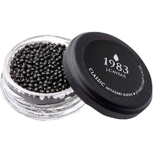 Ε 2025 {LrA1983oG 12g 2Zbg 5360024  YHi  LrA ~ ~Mtg Ε Mtg 蕨 