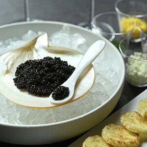 Ε 2025 {LrA1983oG12g×2Hה׃Zbg 5360042  YHi  LrA ~ ~Mtg Ε Mtg 蕨 