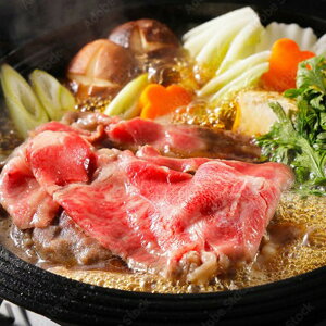 Ε 2025 O򋍌[XĂp230g 5380071  Hi  [X ~ ~Mtg Ε Mtg 蕨 