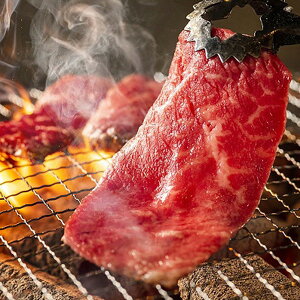 Ε 2025 _ސ܂苍 G ē560g 5380073  Hi   ~ ~Mtg Ε Mtg 蕨 