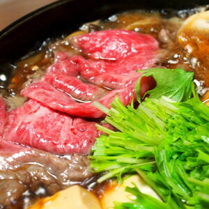 Ε 2025 _ސ쑊͋ G Ăp660g 5380078  Hi   ~ ~Mtg Ε Mtg 蕨 