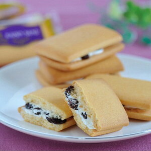 Ε 2025 SlGsďC[YThlߍ킹 5700016 NbL[ Ăَq [YTh ~ ~Mtg Ε Mtg 蕨 