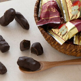 お歳暮 2025 りんごチョコレート 5870023 チョコレート フルーツチョコレート 冬 冬ギフト 歳暮 ギフト 贈り物 寒中見舞い 楽天 スーパーセール