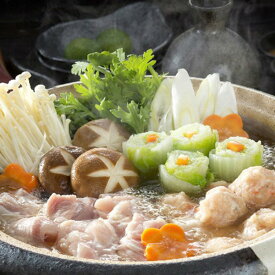 お歳暮 2025 高知土佐はちきん地鶏モモ・ムネ水炊用 600g 精肉 肉加工品 鶏肉 セット 詰め合わせ 冬 冬ギフト 歳暮 ギフト 贈り物 寒中見舞い 楽天 スーパーセール