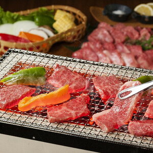 Ε 2025 RWHi {苍ēp  Hi  Zbg lߍ킹 ~ ~Mtg Ε Mtg 蕨 