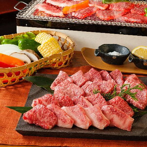 Ε 2025  RWHi _ˋoēp450g  Hi  o Jr ~ ~Mtg Ε Mtg 蕨 