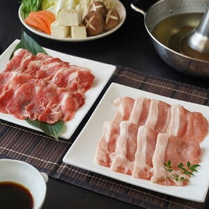 Ε 2025  RWHi _˃|[NԂԗp  Hi ؓ Zbg lߍ킹 ~ ~Mtg Ε Mtg 蕨 