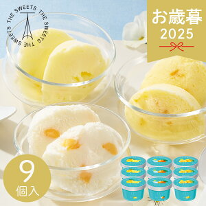 ���Ε� 2025 �U�E�X�E�B�[�c ���{�̊��k�V���[�x�b�g 9�� �A�C�X�N���[�� �V���[�x�b�g �V���[�x�b�g�Z�b�g �f�U�[�g �X�C�[�c ��� �l�ߍ��킹 �Z�b�g �A�C�X�M�t�g ����� ���َq ������ �~