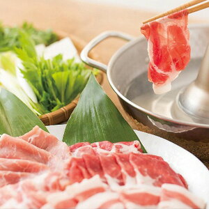 Ε 2025 ؂ԂԎM  Hi ؓ Zbg lߍ킹 ~ ~Mtg Ε Mtg 蕨 